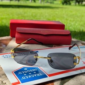 Cartier CT Buffalo wire